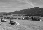 images/Bildergallerie/Bild1_Gro.jpg