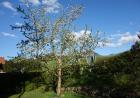 images/Bildergallerie/DSC04570_Gro.jpg
