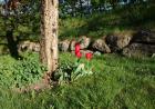 images/Bildergallerie/DSC04575_Gro.jpg