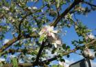 images/Bildergallerie/DSC04576_Gro.jpg
