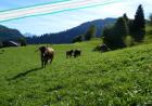 images/Bildergallerie/P1010309_Gro.jpg