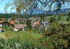images/Bildergallerie/P1010318_Gro.jpg