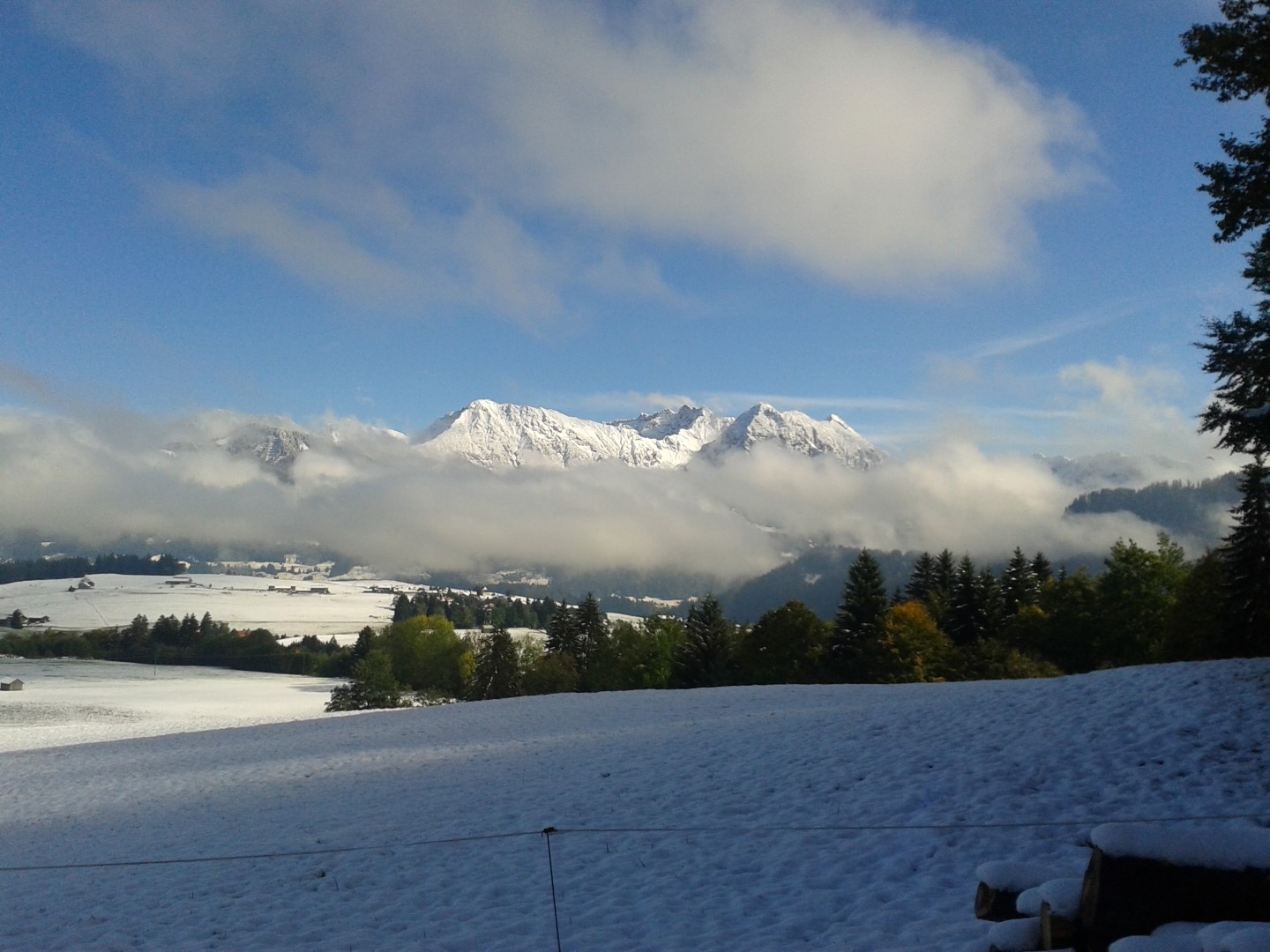 001 Groß